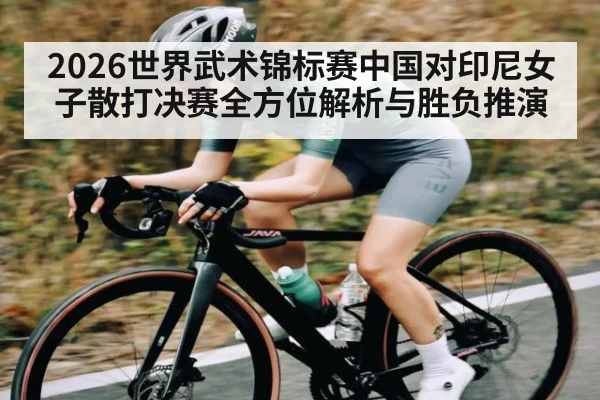 2026世界武术锦标赛中国对印尼女子散打决赛全方位解析与胜负推演（Texas Online Poker）